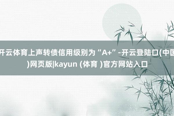 开云体育上声转债信用级别为“A+”-开云登陆口(中国)网页版|kayun (体育 )官方网站入口