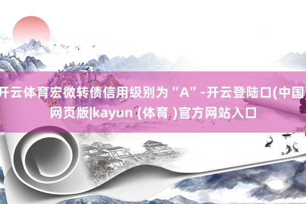 开云体育宏微转债信用级别为“A”-开云登陆口(中国)网页版|kayun (体育 )官方网站入口