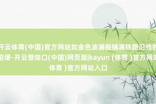 开云体育(中国)官方网站如金色波澜般铺满铁路沿线的沟壑田埂-开云登陆口(中国)网页版|kayun (体育 )官方网站入口